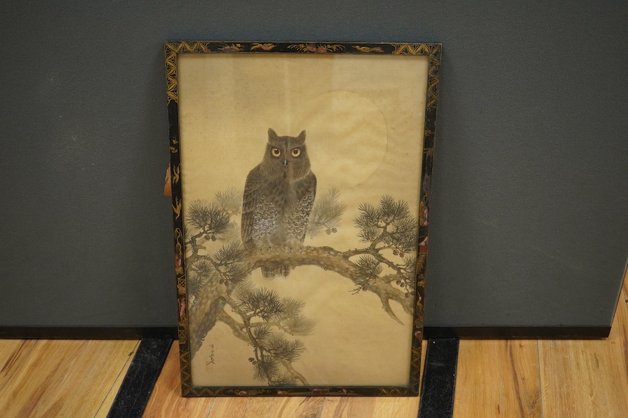 Late 19th / early 20th century, Japanese School, watercolour on silk, Study of an owl, signed with character and red seal marks, 49 x 32cm, housed in a japanned frame. Condition - fair, some foxing/discolouration through